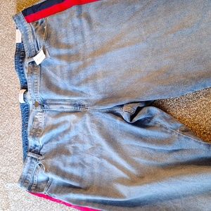 Lane Bryant jeans
